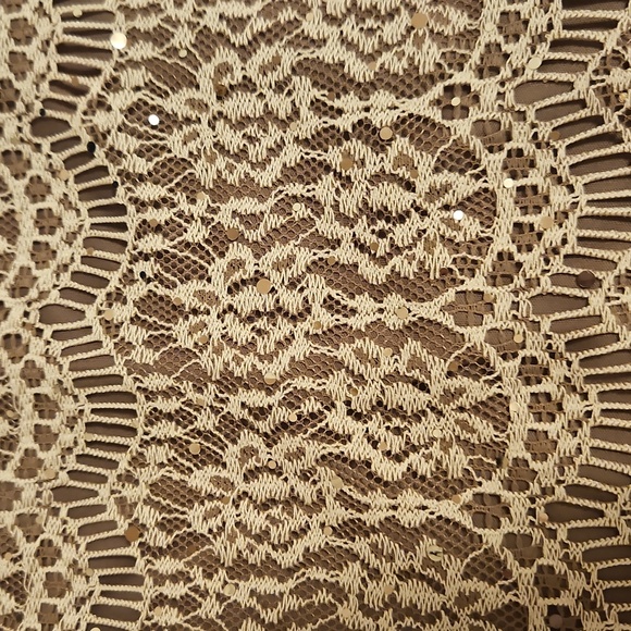 Taupe Lacey Dress| Jessica Howard| W Sz. 14 |Bridal, Winter Formal, Fairycore - Picture 10 of 13